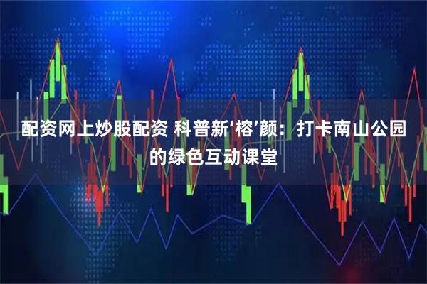 配资网上炒股配资 科普新‘榕’颜:打卡南山公园的绿色互动课堂